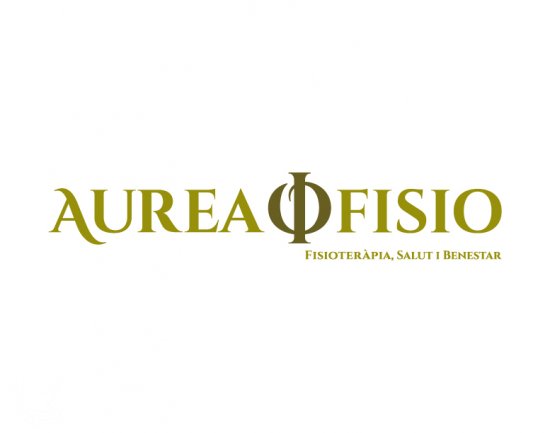 Fisioterapia a domicilio