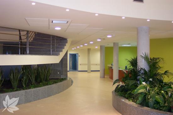 Alba 2 Residencia Geriátrica