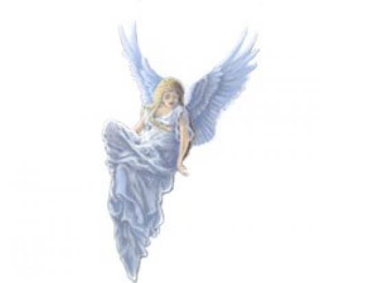 Mi Ángel de la Guarda, Ayuda a Domicilio