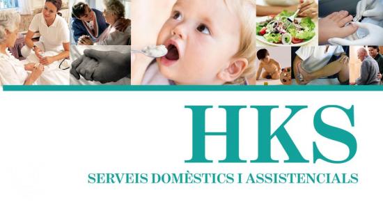 Servicios domésticos y asistenciales
