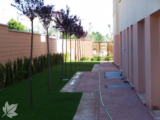 CENTRO DE RESPIRO ALOIS ALZHEIMER CIUDAD REAL