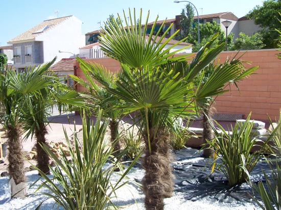 CENTRO DE RESPIRO ALOIS ALZHEIMER CIUDAD REAL