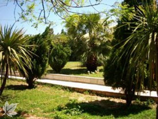 RESIDENCIA DE MAYORES JAIME II