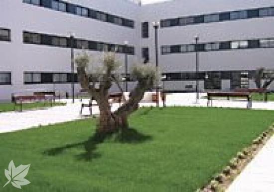 Centro de Día Getafe, Sanitas Mayores