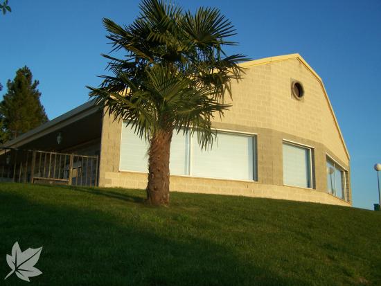 CENTRO DE DÍA LAS ENCINAS