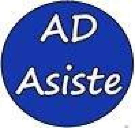 Auxiliares de ayuda a domicilio
