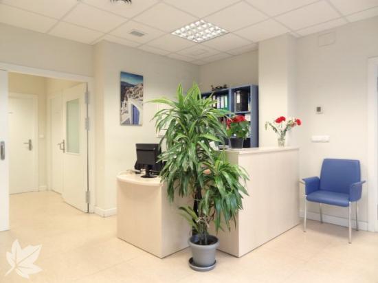CITEA -  Centro de día especializado en Alzheimer