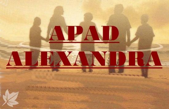 APAD-ALEXANDRA  AYUDA  A DOMICILIO