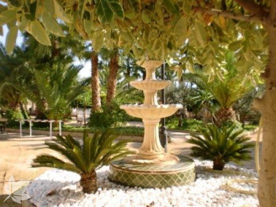 Residencia de mayores El Palmeral del Mar Menor