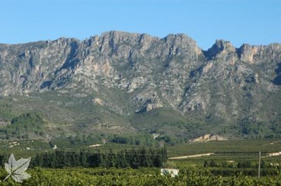 Residencia rural Vall d'Aigues Vives S.L