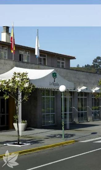 LOS MAGNOLIOS A Coruña