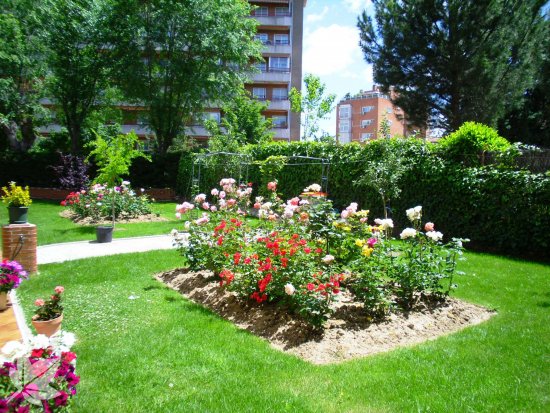 Residencias Geriatricas 3ª Edad LAS ROSAS Madrid