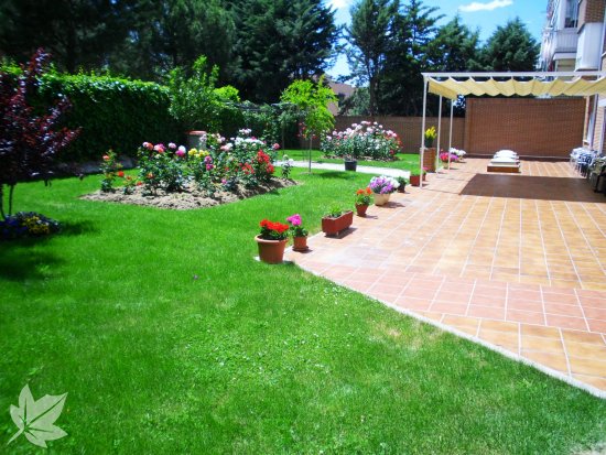 Residencias Geriatricas 3ª Edad LAS ROSAS Madrid