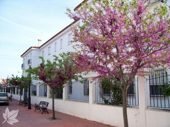 RESIDENCIA DE ANCIANOS NUESTRA SRA. DE MANJAVACAS