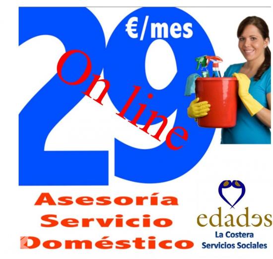 Asesoría del servicio doméstico por 29€
