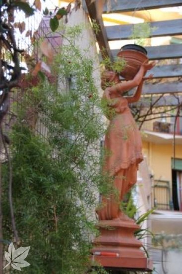 RESIDÈNCIA RESSI BONAIRE