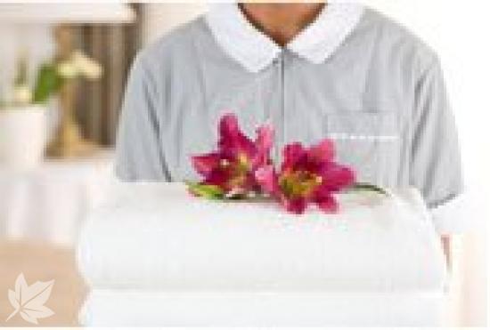 HomeService: Modelo Sueco de Ayuda a Domicilio