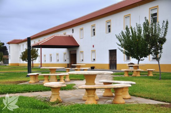 EL PINAR DE LA FUENTE