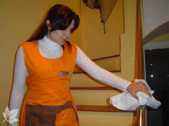 Oferim Serveis d'Ajuda a Domicili per a Gent Gran