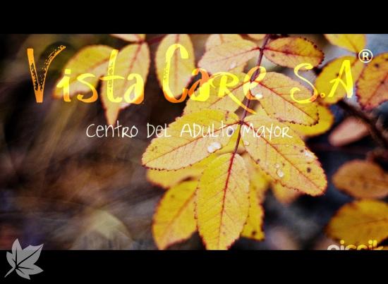 Residencia para ancianos Vista Care, S.A.