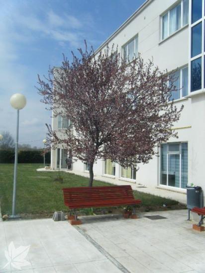 Residencia de Mansilla de las Mulas