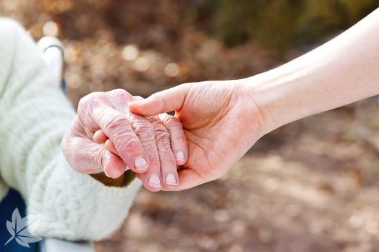 Assistència a persones grans i amb dependència.