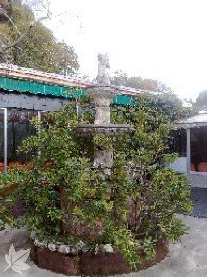 Residencia de Ancianos San José
