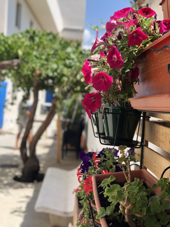 Residencia Virgen del Milagro
