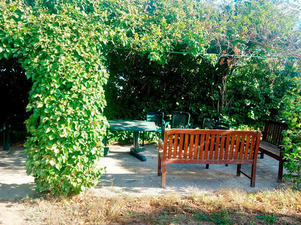 Residencia de mayores Torremedina