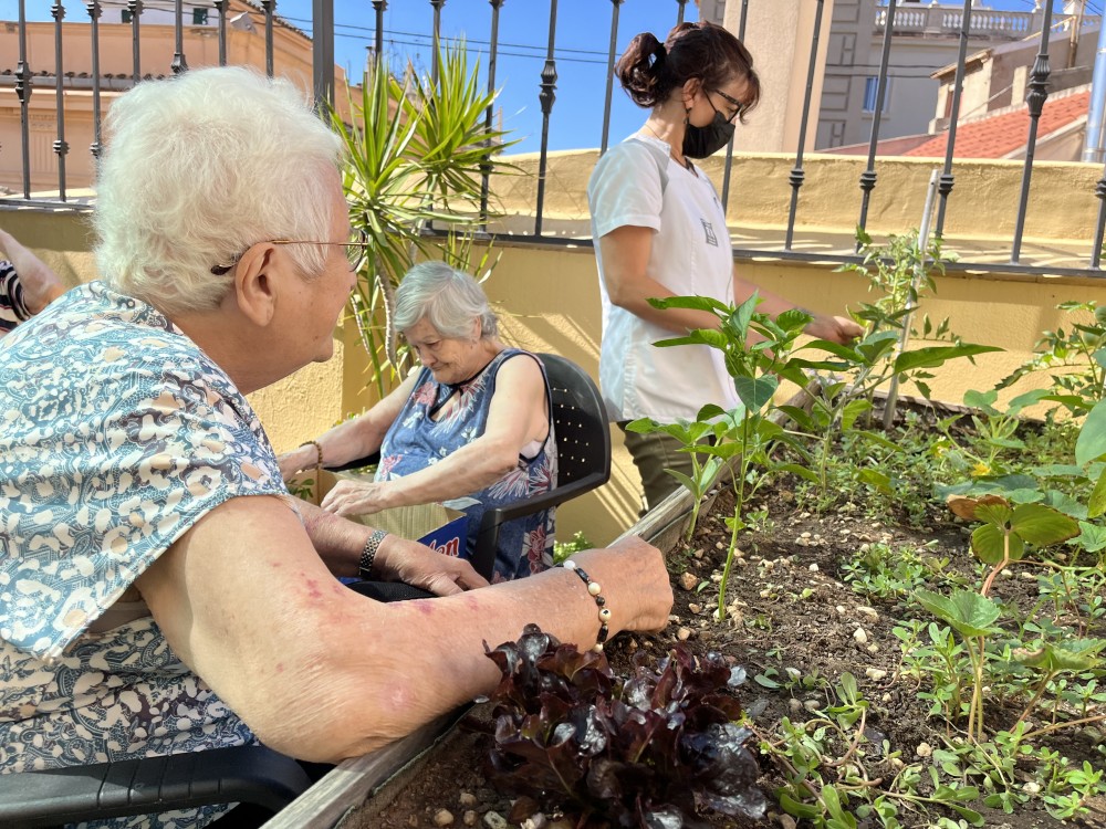 Residencia para mayores Valsenior Torres de Serranos