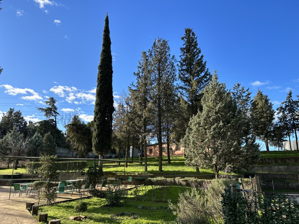 Residencia Jardín de Maqueda