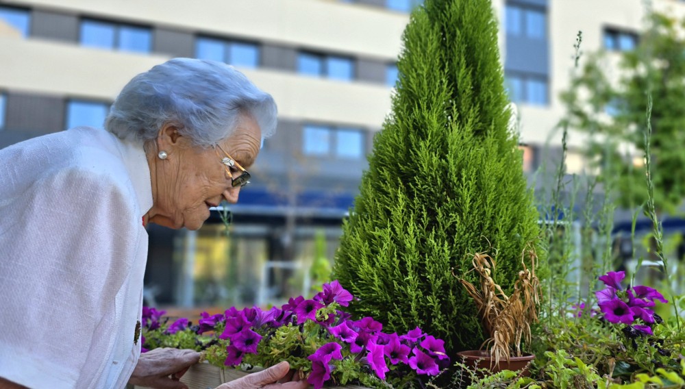 Centro de Mayores Vitalia Torrejón