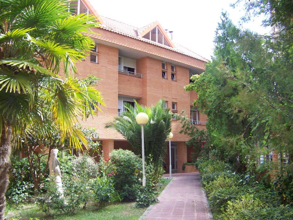 Centro de día Ozanam Nuestra Señora del Carmen