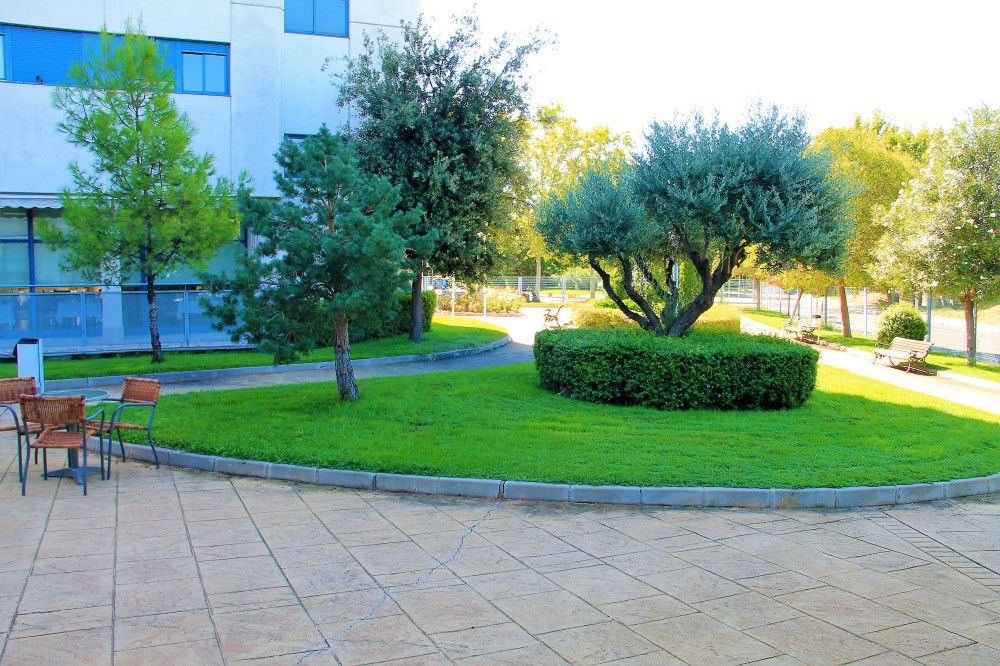 Residencia Ballesol Pasillo Verde 