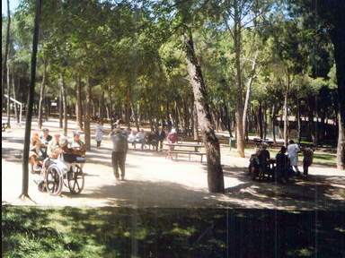 Centro de Día para mayores El Pinar